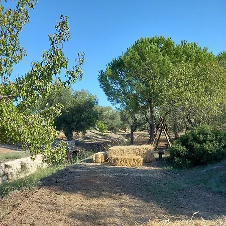 Agreste Alloggio per agriturismo Ostuni