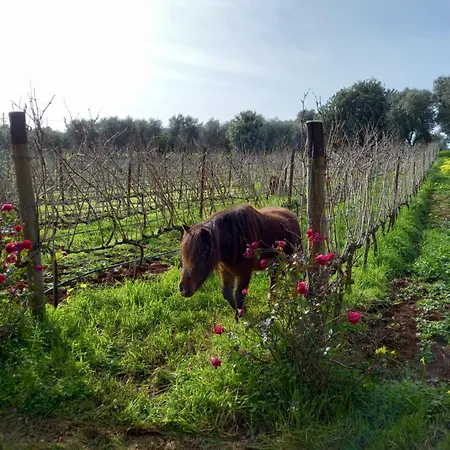 Gospodarstwo agroturystyczne Agreste *