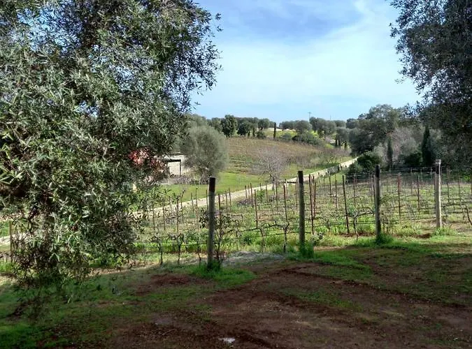 Agreste Alloggio per agriturismo Ostuni