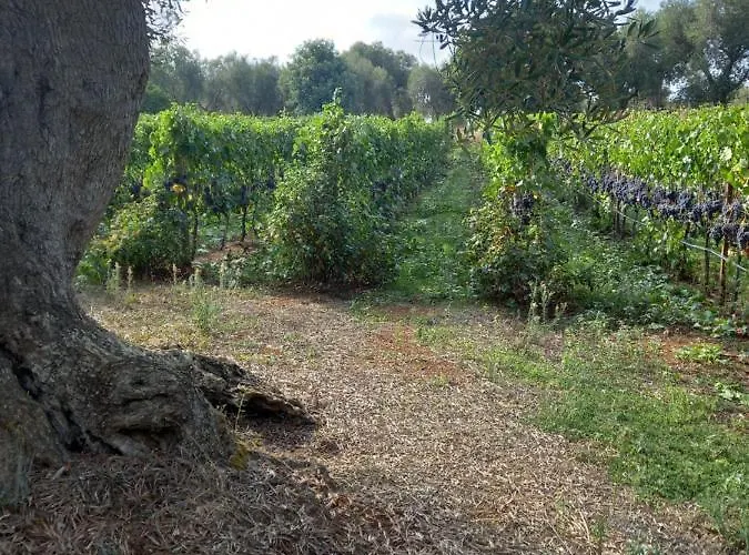 Agreste Alloggio per agriturismo Ostuni