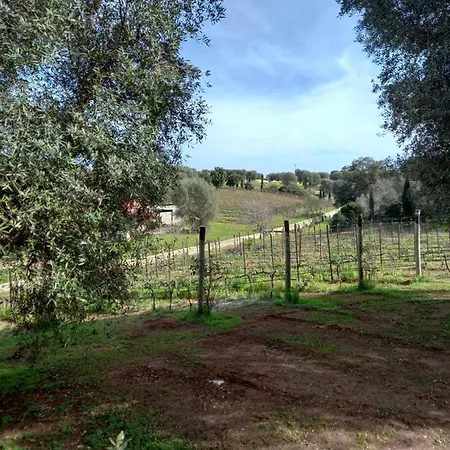 Agreste 팜스테이 오스투니