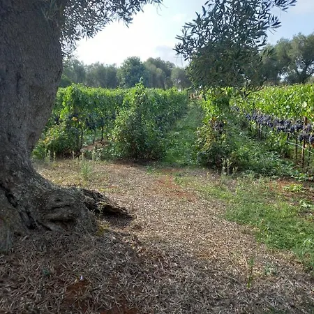 Agreste Gospodarstwo agroturystyczne Ostuni